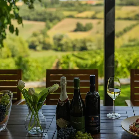 Hébergement de vacances Vikendica Aleksandrovic Meterize Topola