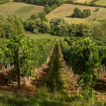 Hébergement de vacances Vikendica Aleksandrovic Meterize *