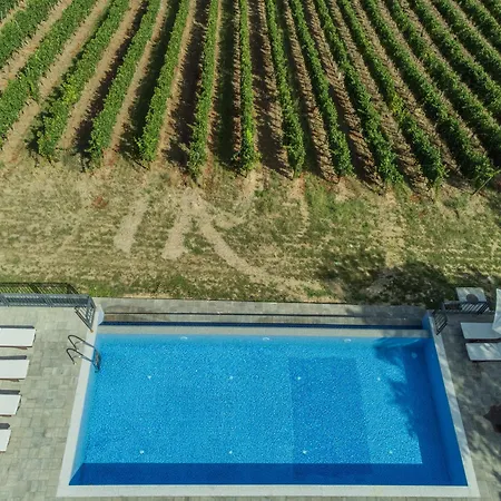 Vikendica Aleksandrovic Meterize Hébergement de vacances *