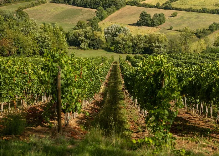 펜션 Vikendica Aleksandrovic Meterize *