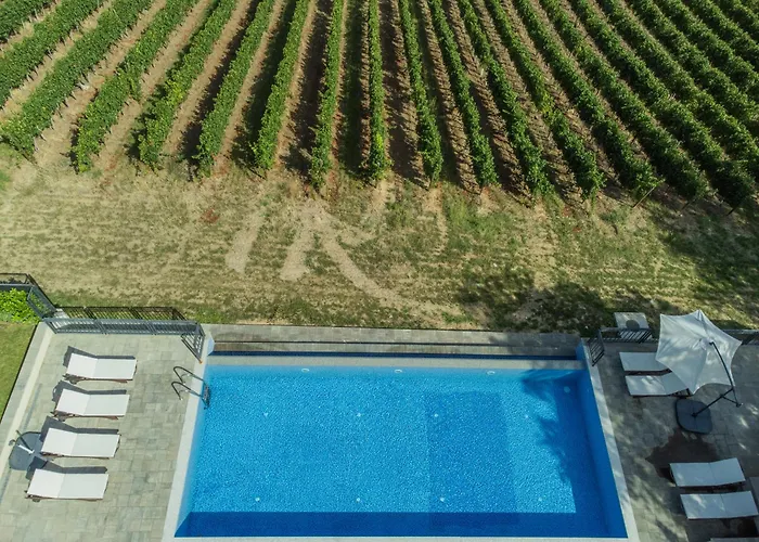 Vikendica Aleksandrovic Meterize 펜션 *